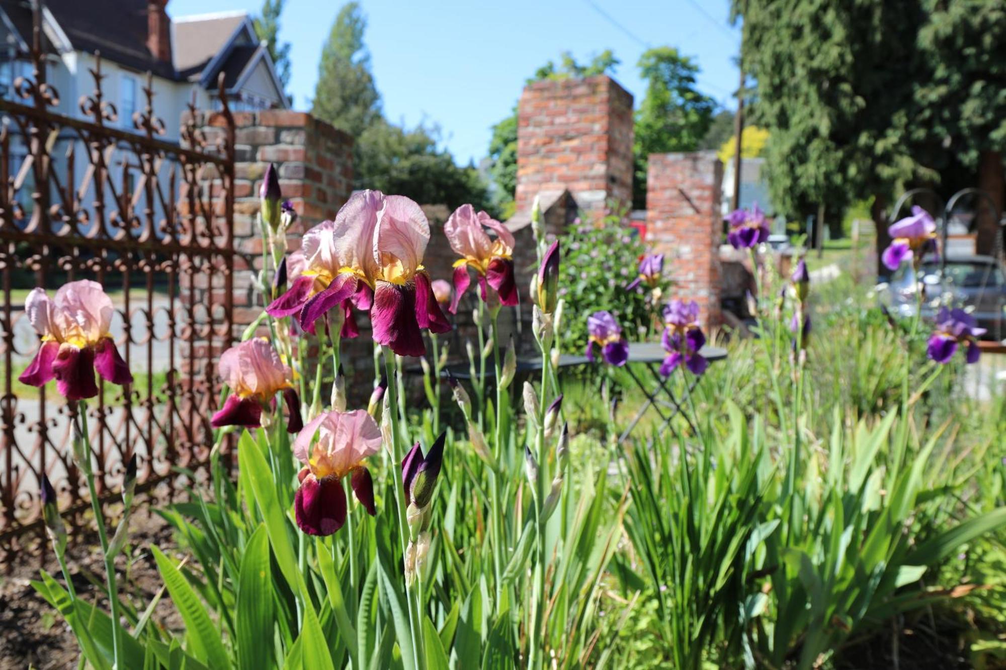 The Adams Pragge House - Victorian Bed & Breakfast Port Townsend Exterior photo
